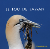 Couverture Le fou de Bassan - Johann Cousinard - Editions BOD - ISBN 9782322188970