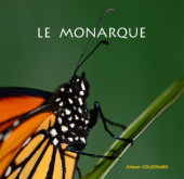 Couverture Le fou de Bassan - Johann Cousinard - Editions BOD - ISBN 9782322188970